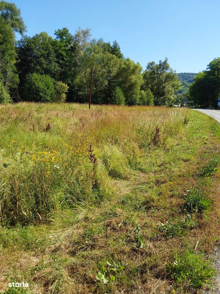TEREN INTRAVILAN ÎN MARGA-LA DN68 JUD.CARAȘ-SEVERIN-5