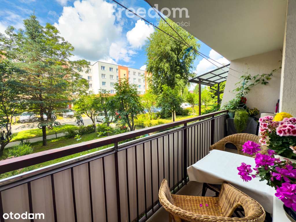 Mieszkanie z potencjałem na parterze - Pełny obrazek: 3/17