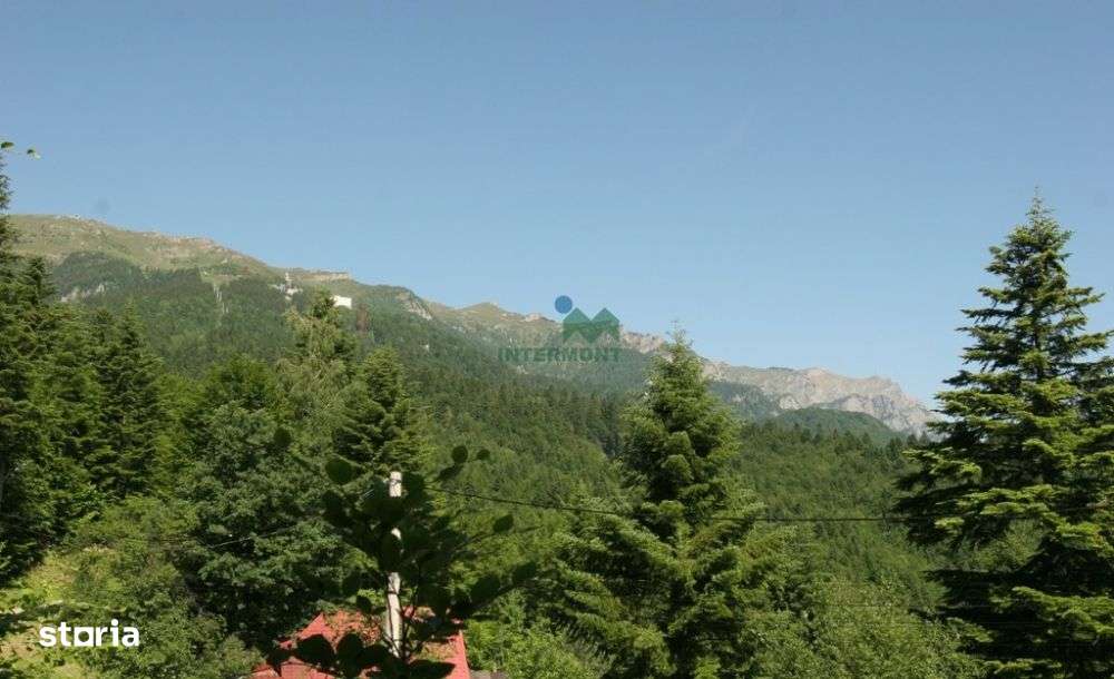 Teren Central-Sinaia, 300 mp-3