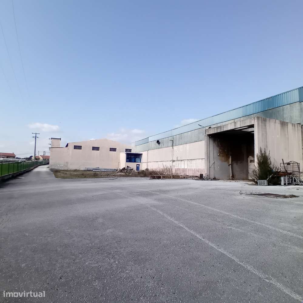 ARMAZÉM INDUSTRIAL | 5.300 m² | MOITAS - PERNES – SANTARÉM - Grande imagem: 2/18