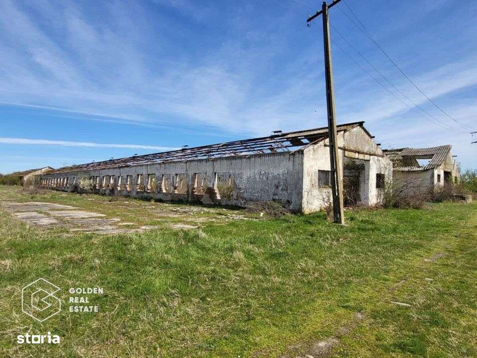 Teren extravilan, 22.5 ha, comuna Maureni - Imagine principală: 5/7