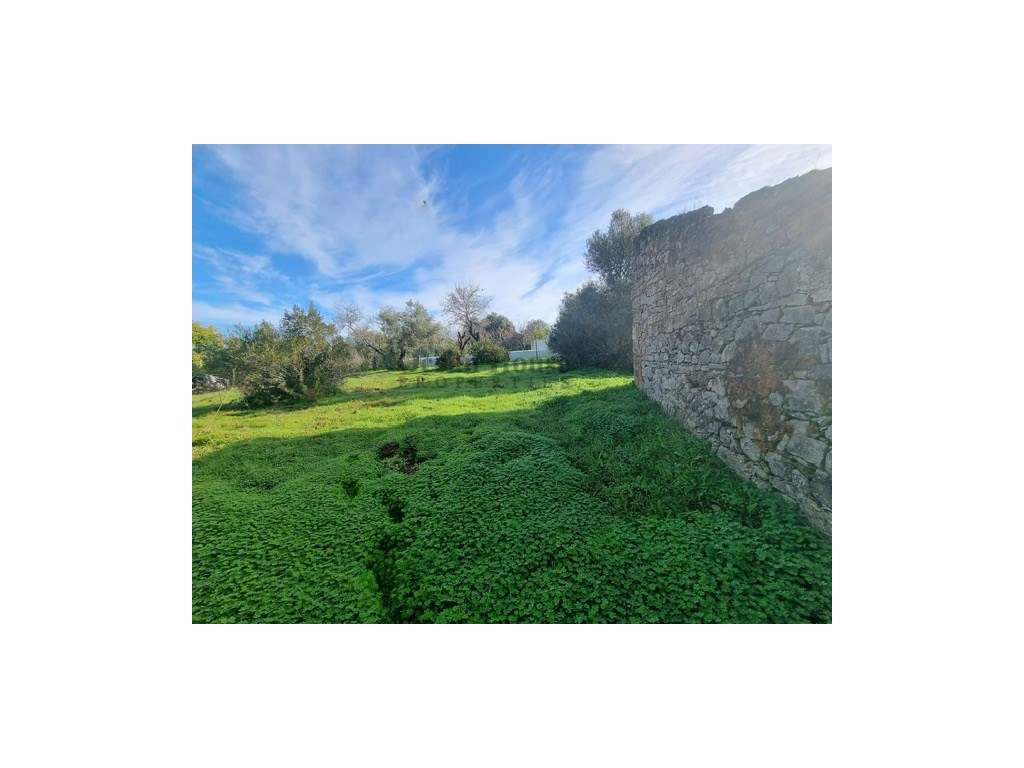 Terreno com projecto aprovado para moradia em Tôr - Loulé-3