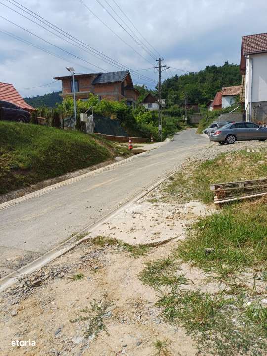teren intravilan de vanzare in Saliste-8