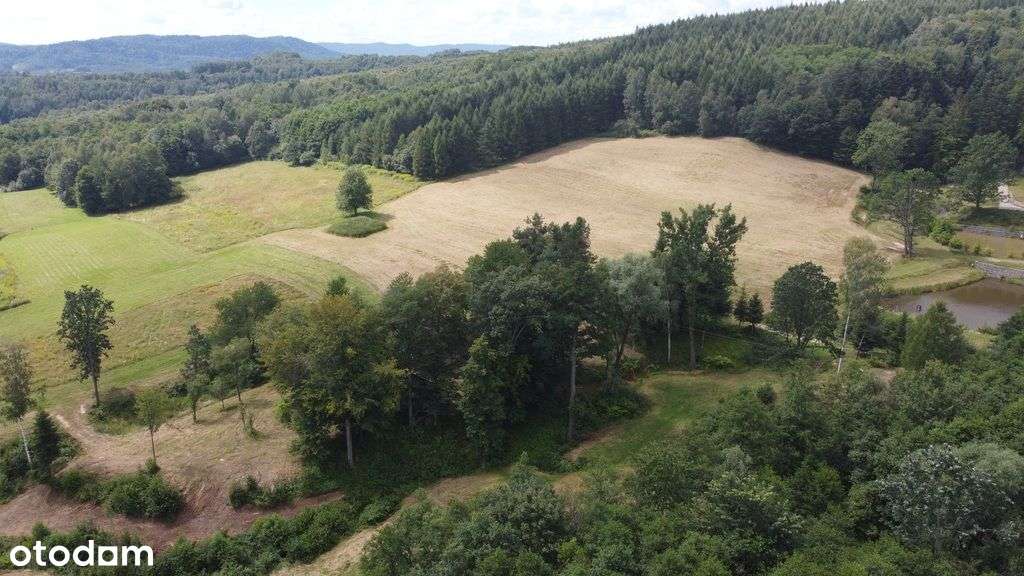 Lutcza Niebylec 10,7 ha Dom 200m2 - Pełny obrazek: 4/20