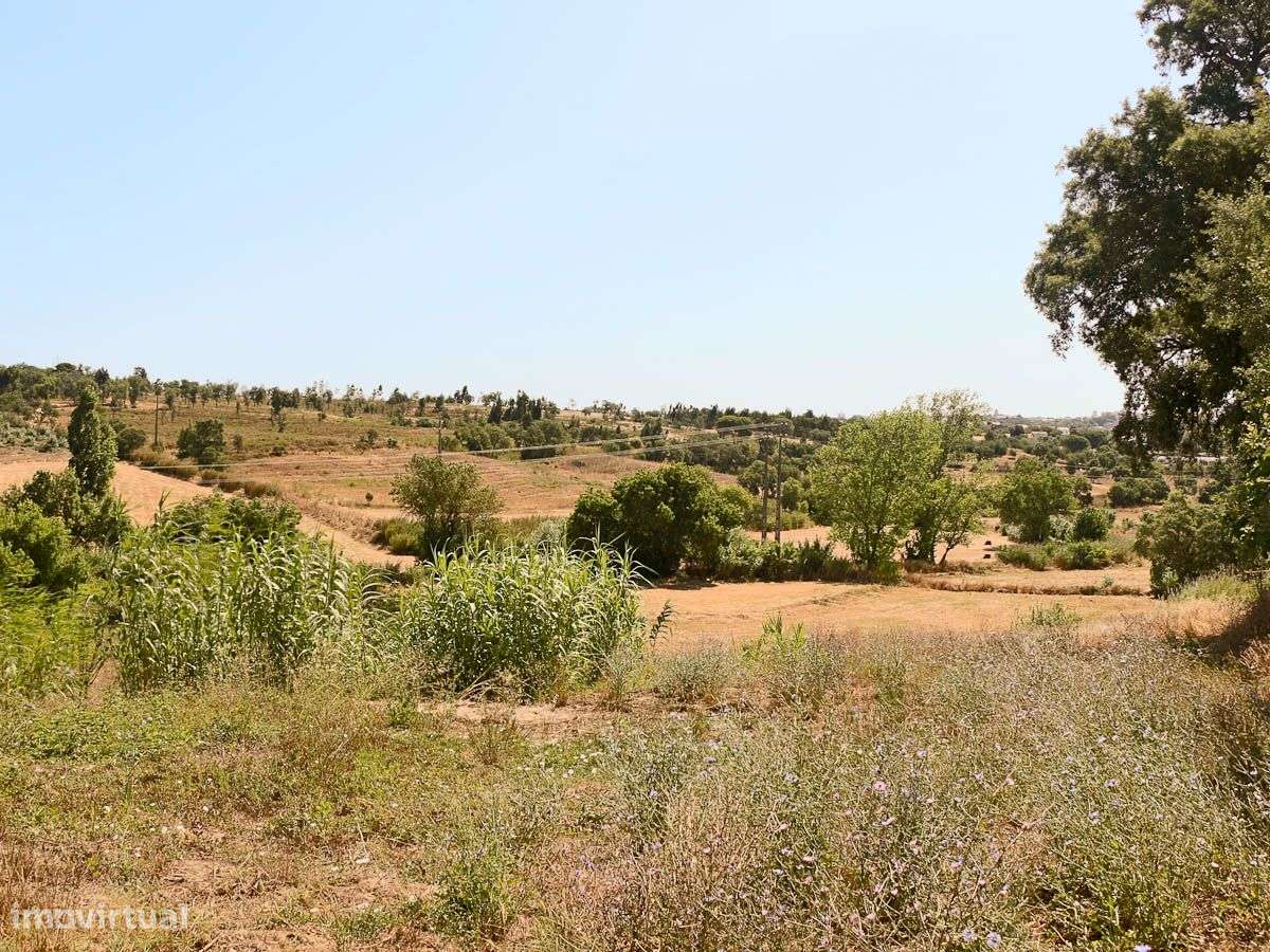Terreno com 6260m2 destinado á construção de moradia independente. - Grande imagem: 5/15