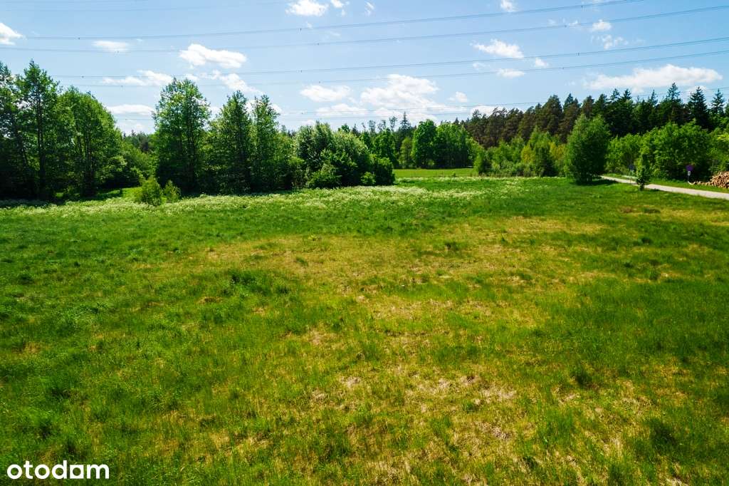 Działki budowlane w otoczeniu lasów i łąk - sielskie klimaty-8