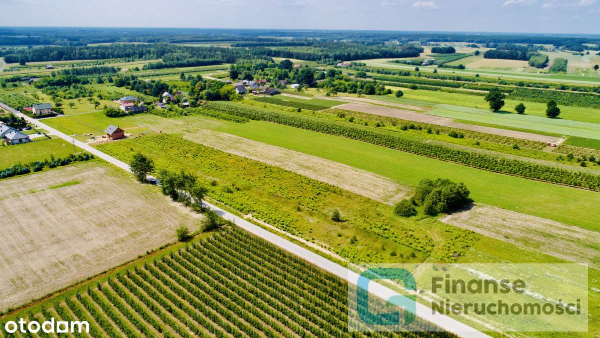 3 Działki Budowlane w Lesiewie - Pełny obrazek: 5/17