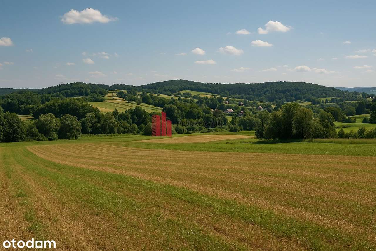 działka nad sanem-0