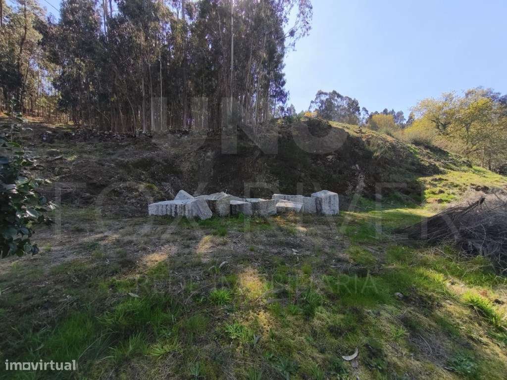 Terreno com Projeto Aprovado em São Julião, Valença - Grande imagem: 5/11