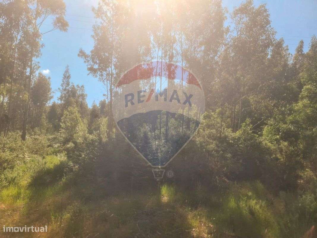 Terreno  para venda - Grande imagem: 4/6