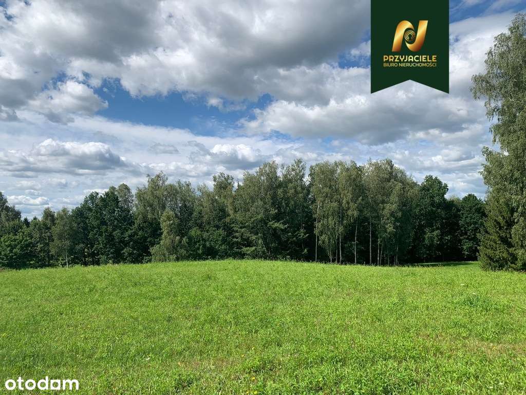 Działka 6300 m2 , 13 km od Olsztyna ! - Pełny obrazek: 5/6