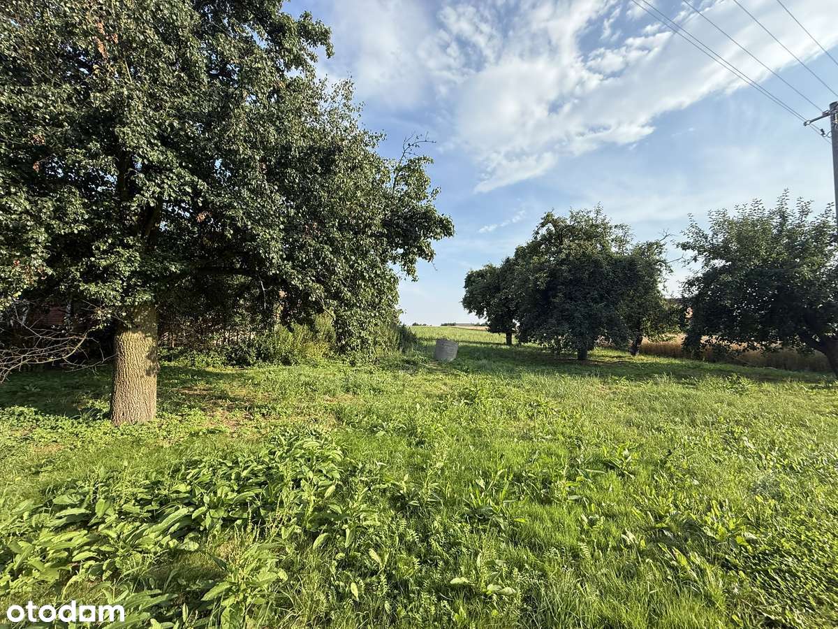 Dom z potencjałem + duża działka 2925 m² | Janków, gm. Pleszew-6