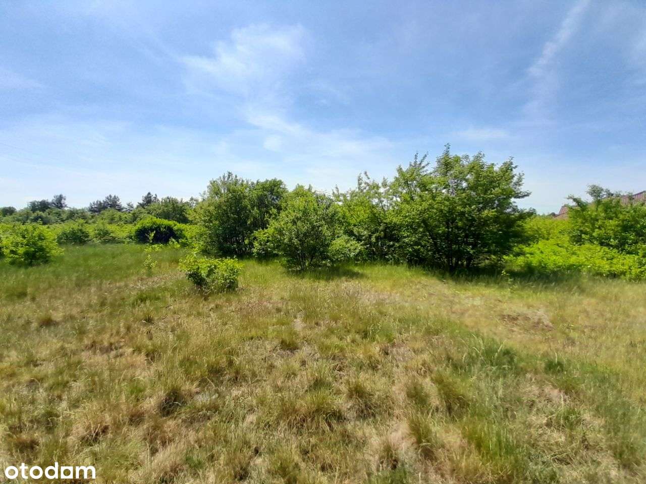 Sprzedam dużą działkę w Żarkach - 18,5a !!! - Pełny obrazek: 4/16