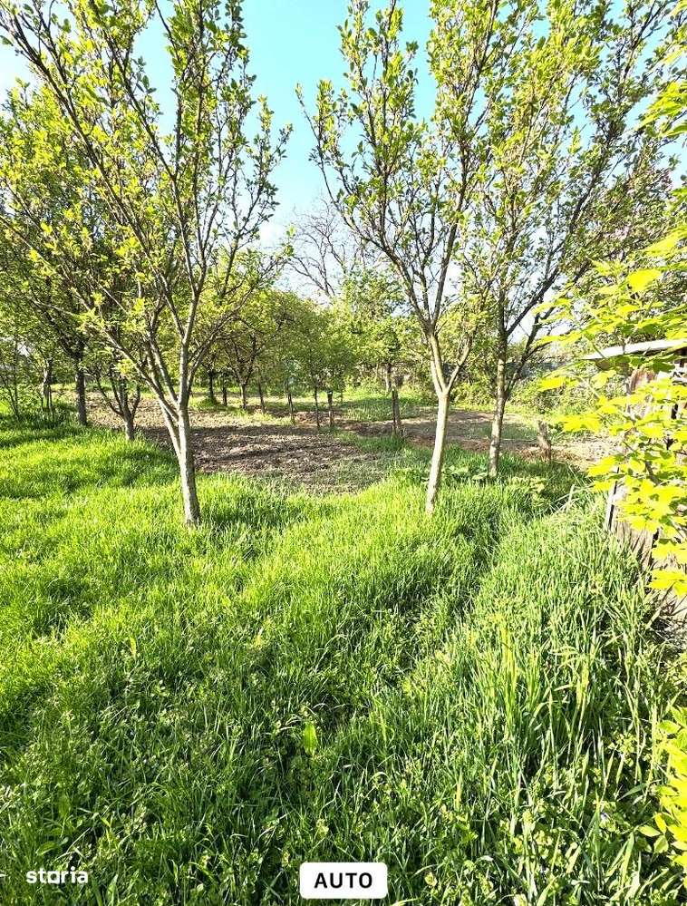 Casa 3 camere , 500 mp teren , zona C.R.Vivu-7