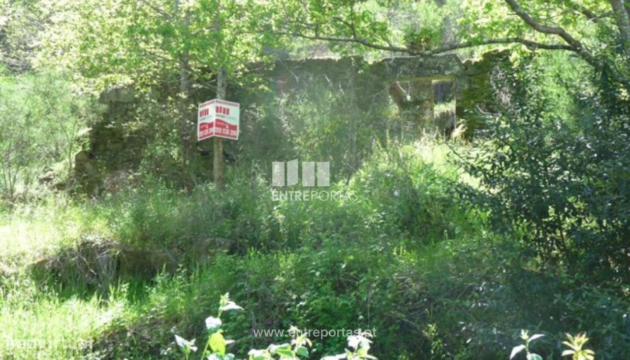 Venda Terreno, Ancede, Baião - Grande imagem: 3/9