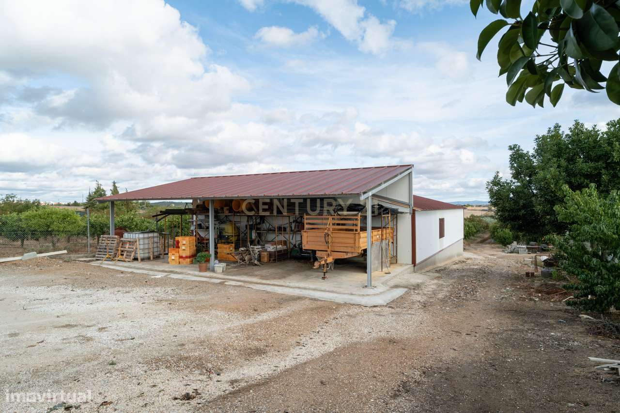 Moradia, 183 m², Amareleja-27