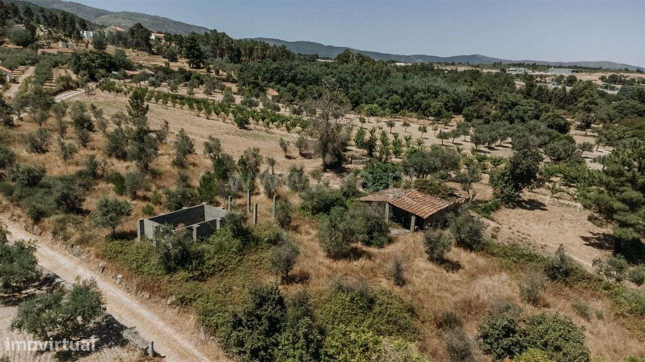 Quintinha T1 / Fundão, Soalheira - Grande imagem: 4/14