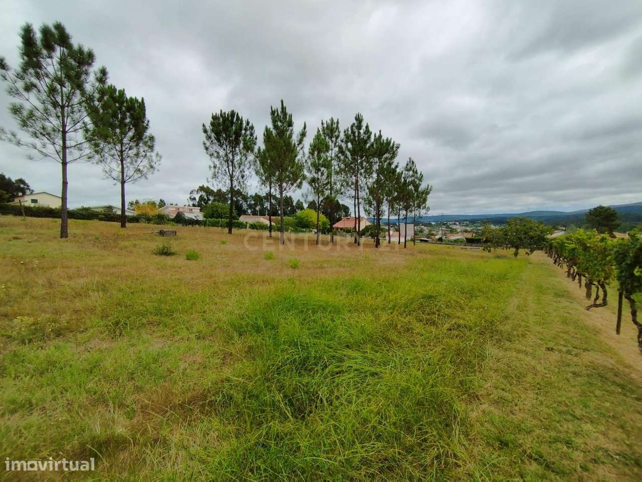 Terreno com 2120m2 Construtível em Pombal - Grande imagem: 2/3