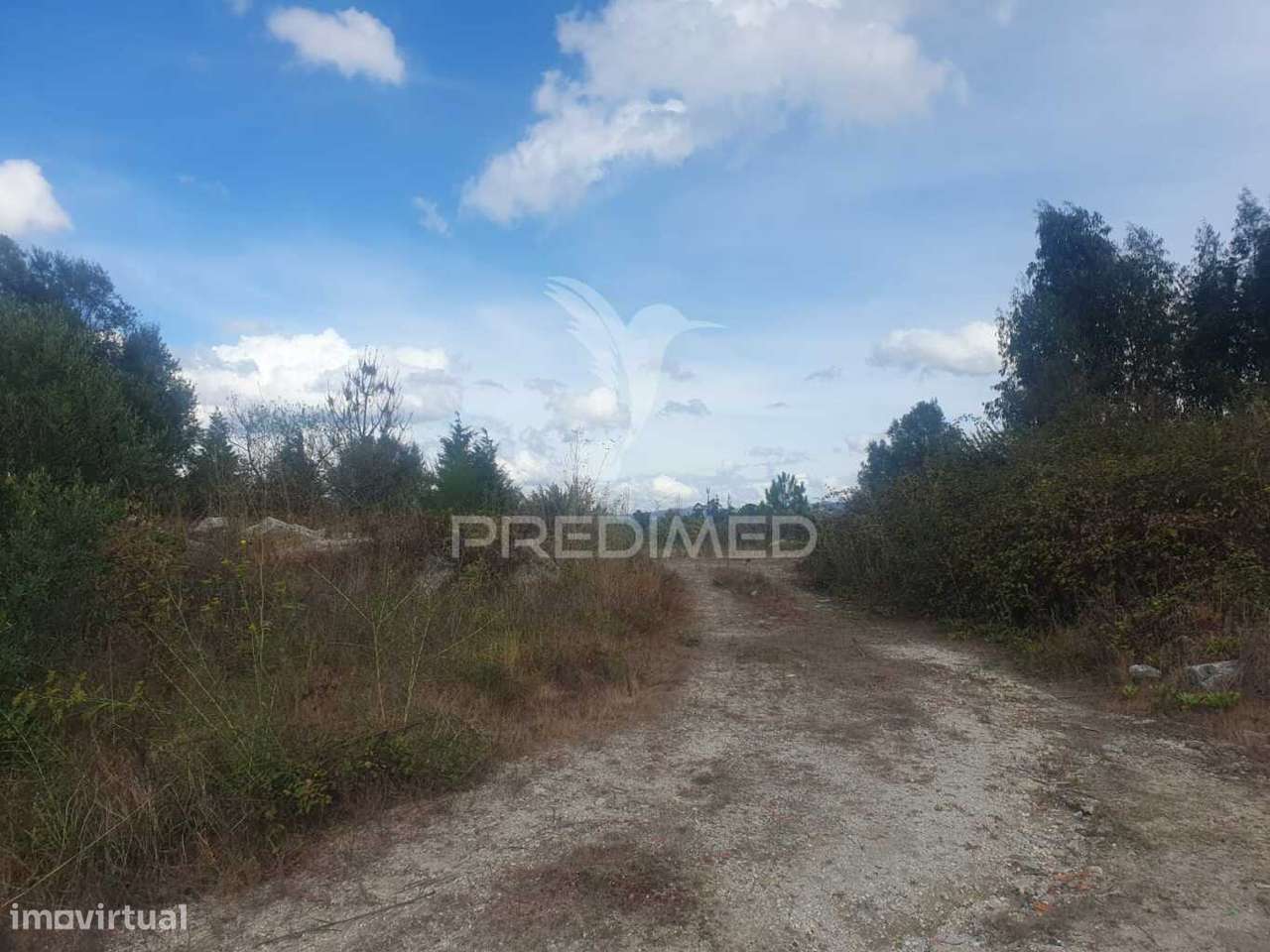 Terreno com 22 000m2 em Fafe - Grande imagem: 4/15