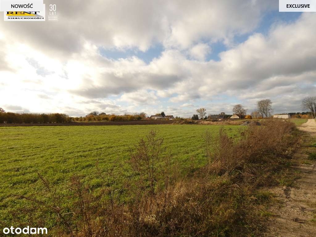 Działka budowlana pod Goleniowem - Pełny obrazek: 2/9