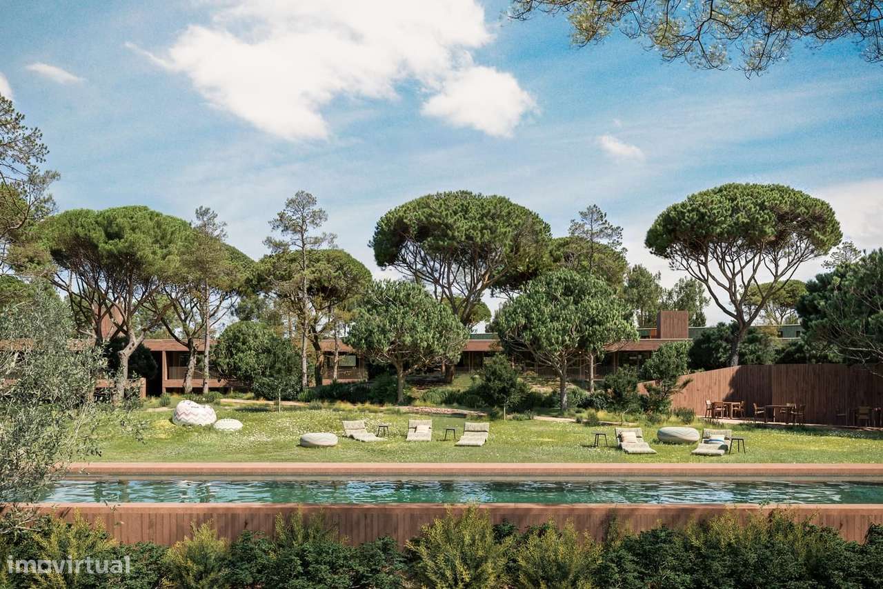 Aroeira Collections - Grande imagem: 4/34