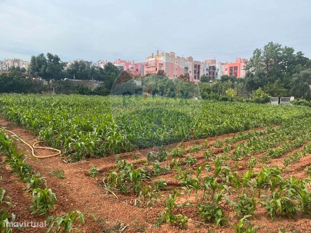 Terreno  para venda - Grande imagem: 4/16