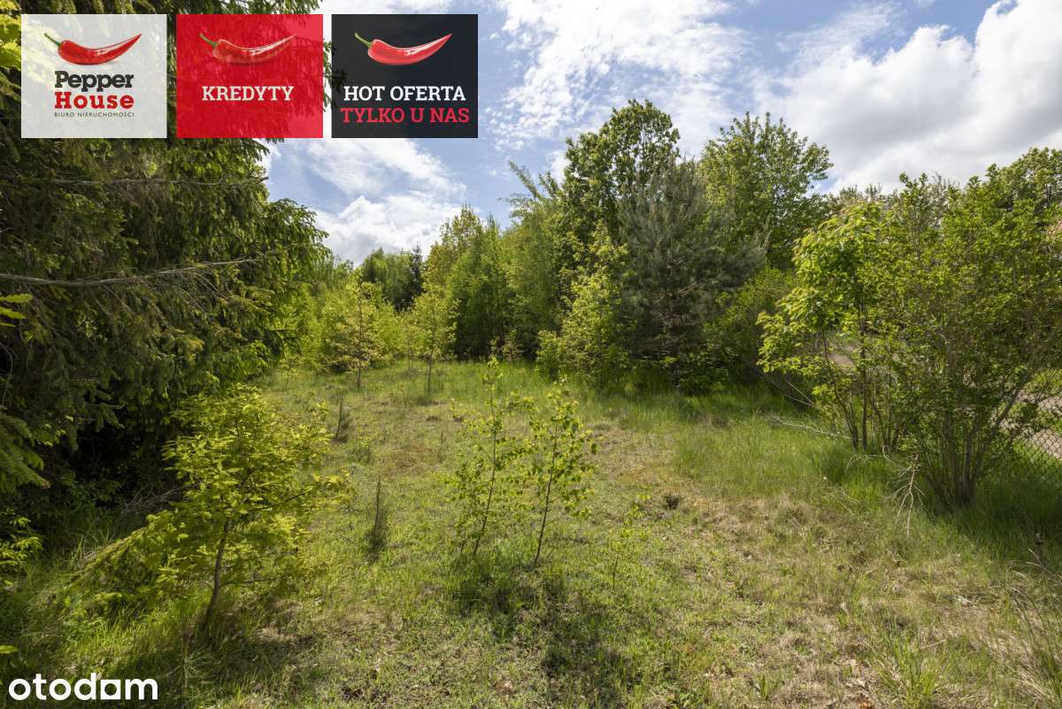 Kielno – działka budowlana z potencjałem usługowym - Pełny obrazek: 4/20