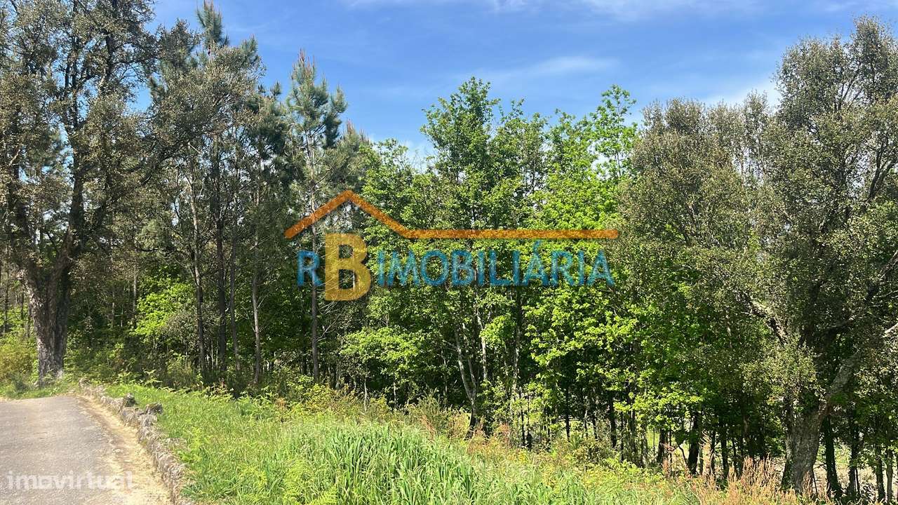 Terreno para construção no Tojal - Chave - Grande imagem: 5/10