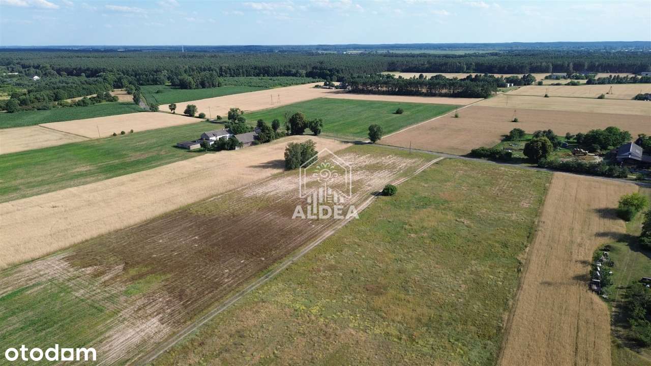 Twoje Własne Miejsce Między Toruniem a Bydgoszczą - Pełny obrazek: 5/5