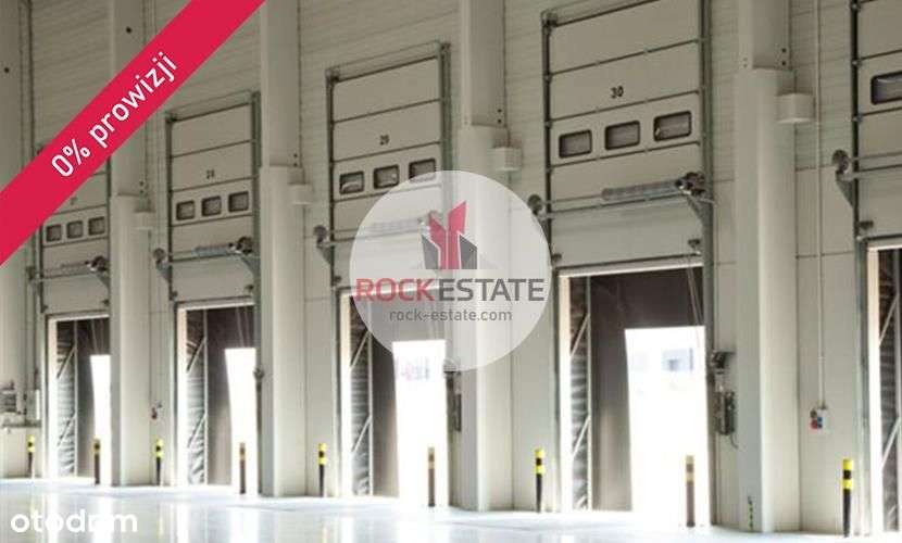Podnajem na 2 lata - magazyn 3900 m2 Annopol - Pełny obrazek: 5/8