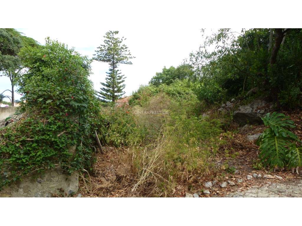 Terreno Urbano com 856m2 PIP em Aprovação na Portela de Sintra - Grande imagem: 5/10