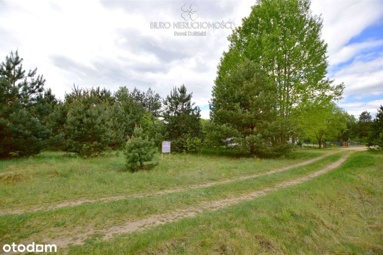 Działka Budowlana W Otoczeniu Zielenie Podlasie - Pełny obrazek: 4/7