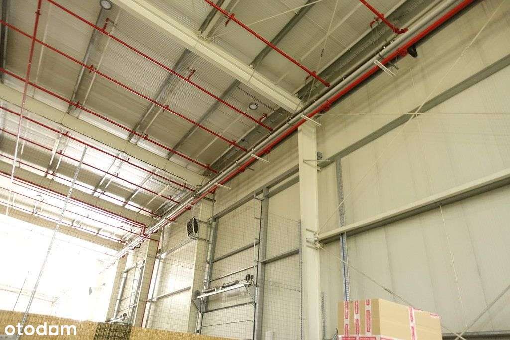 hala magazynowa - Pełny obrazek: 3/6