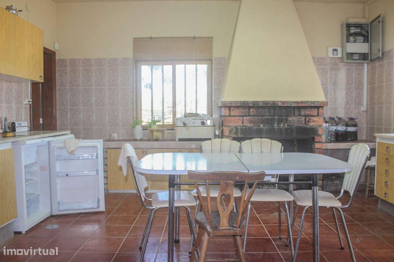 Quinta em Lirião, a 3 km de Castelo Branco junto ao Parque de Campismo - Grande imagem: 4/28