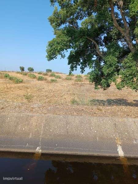 Herdade de 27 hectares - Grande imagem: 4/8