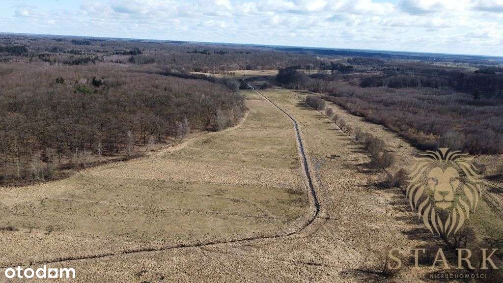 Działka rolna przy lesie, Kozy gm. Dobrzany - Pełny obrazek: 5/5