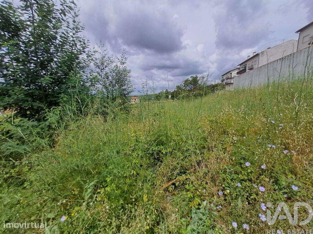 Terreno em Serpins de 250,00 m2 - Grande imagem: 2/2