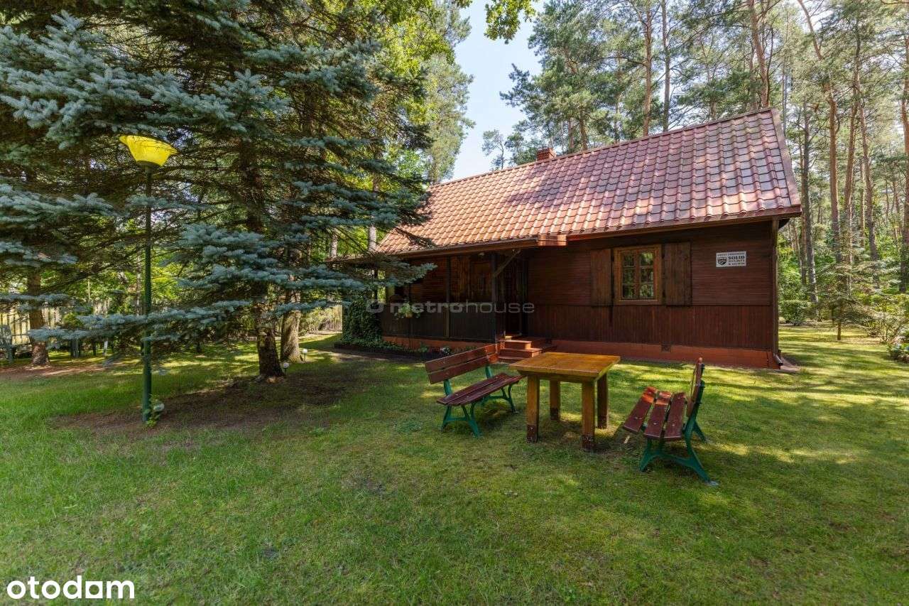 Dom drewniany 61m2 na zalesionej działce - Pełny obrazek: 5/19