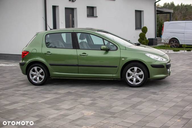 Peugeot 307 - 16