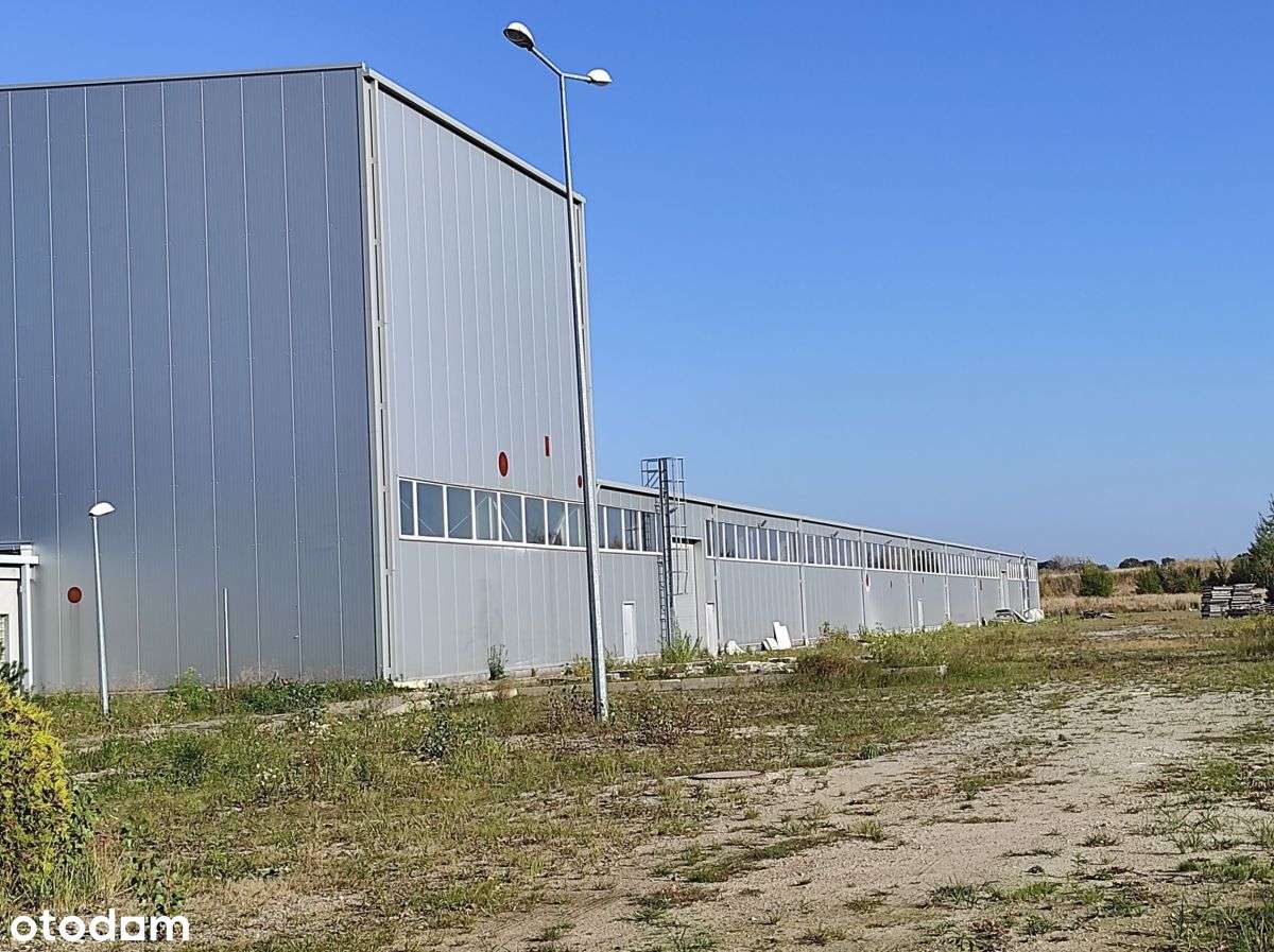 Hala magazynowo-produkcyjna-3