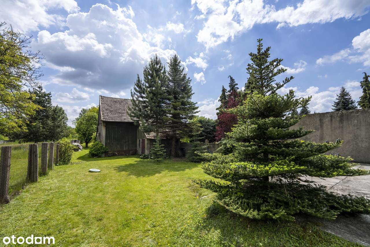 Dom jednorodzinny. Blisko miasta, daleko od zgiełku. - Pełny obrazek: 4/19