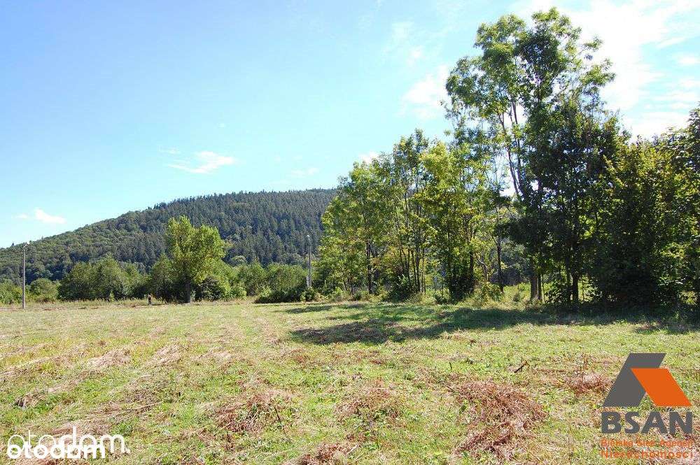 Działka Inwestycyjna 50 Arów - Olszówka Górna - Pełny obrazek: 4/13