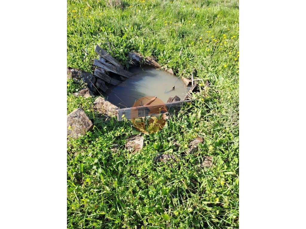 TERRENO COM 60880 M2 - COM POSSIBILIDADE DE CONSTRUÇÃO - TURISMO E ... - Grande imagem: 3/29