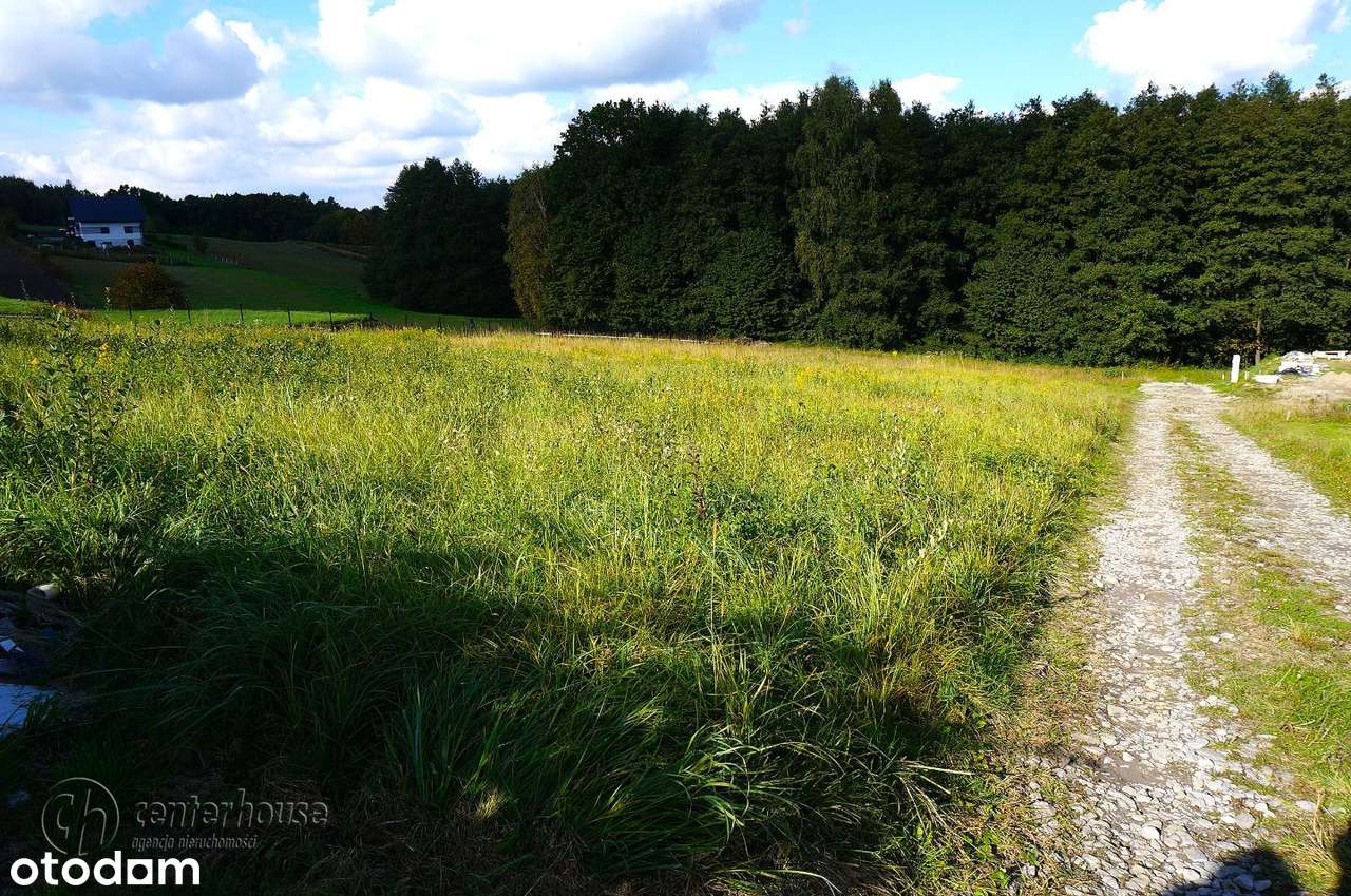 28.32ar. Chmielnik, WZ pod dom jednorodzinny, pod lasem, urokliwa-1