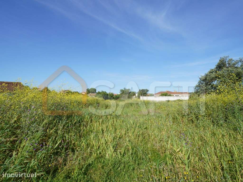 Terreno - Grande imagem: 3/9