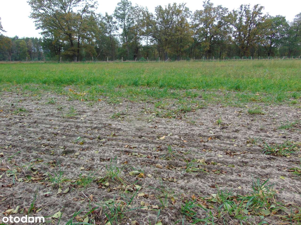 Działka usługowo-inwestycyj. 4,7 ha w Zielonej Górze (także s. paliw)-6