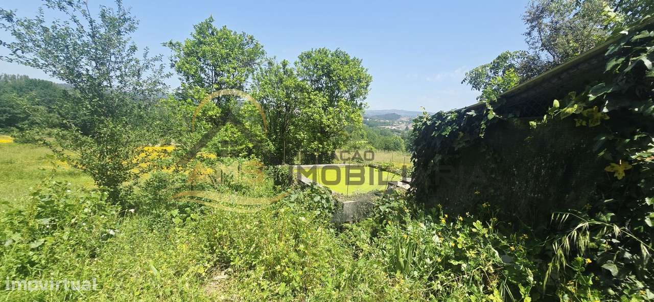 QUINTA A DOIS PAÇOS DA CIDADE COM 2,5ha-23