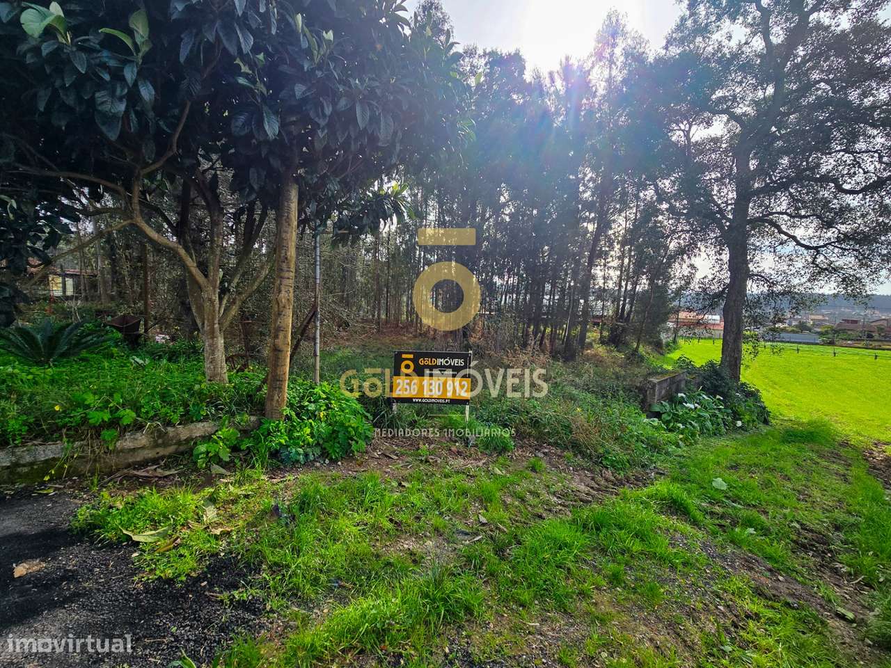 Terreno Rústico  Venda em São Martinho da Gândara,Oliveira de Azeméis - Grande imagem: 4/16