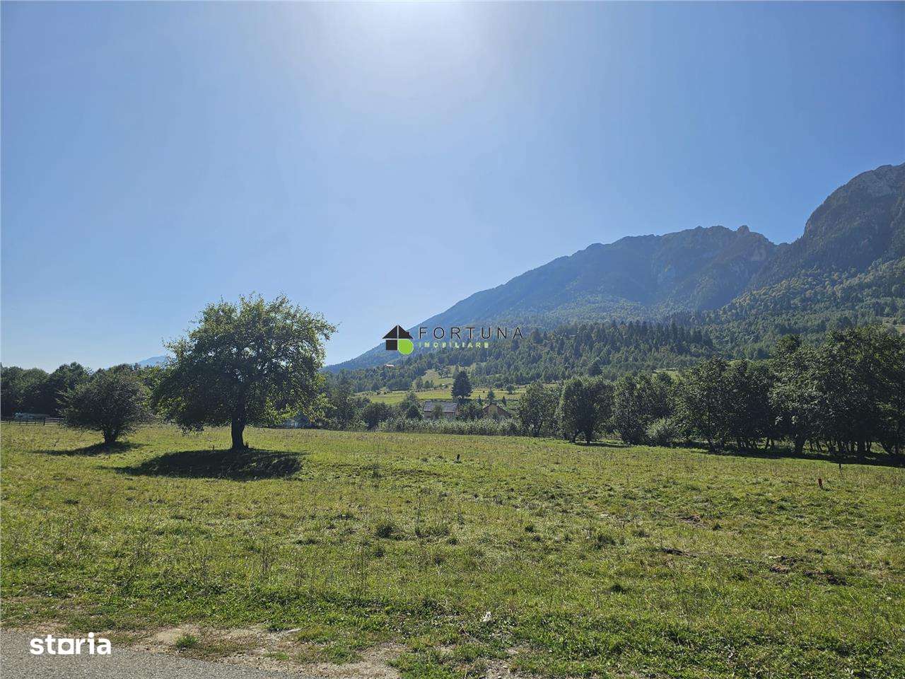 Teren intravilan, 21.000 mp, Zona Intre Barse, spre Plaiul Foii, Zarne-3