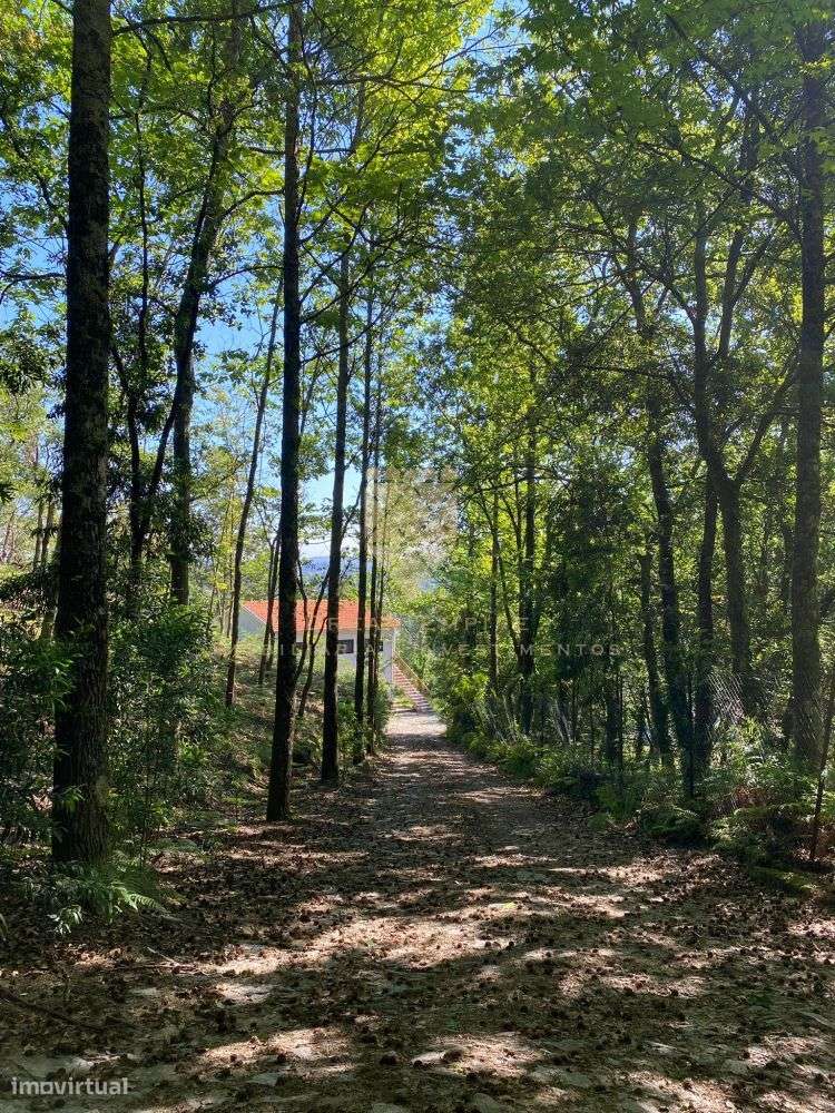 Quinta de Paço de Sousa – Tradição, Natureza e Potencial em Harmo-24